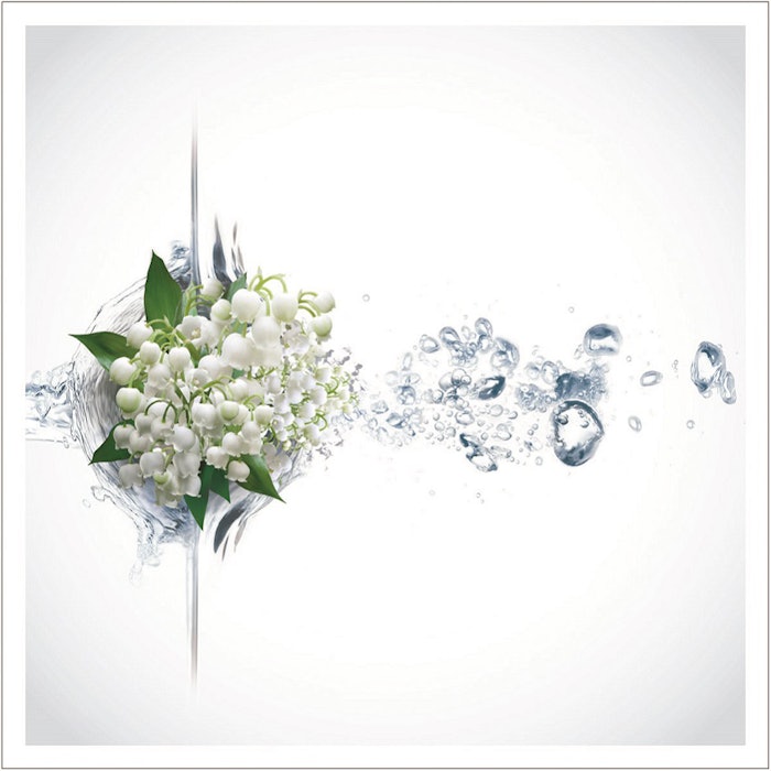 Beyond Muguet Firmenich www.firmenich.com Famous for its iconic perfumery ingredients, Firmenich recently decided to group its unrivalled collection of fresh and transparent florals under a single name. Beyond muguet embodies a new creative approach to universal floral notes. As part of this new program, the company has introduced the launch of Hivernal Neo(CAS# 0300371-33-9) to the market. Follow #FirmenichWPC2018 for more information.