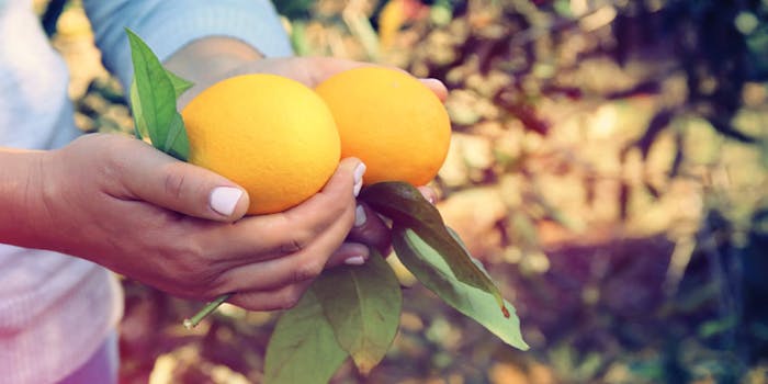 citrus21