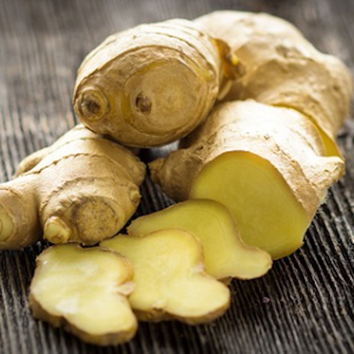 pf_ginger_thumb_4218