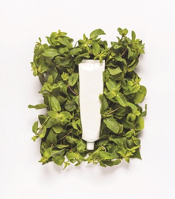 Mint and toothpaste