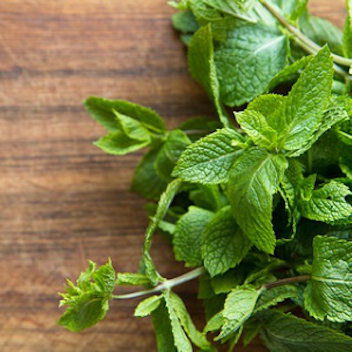 What Is Mint?