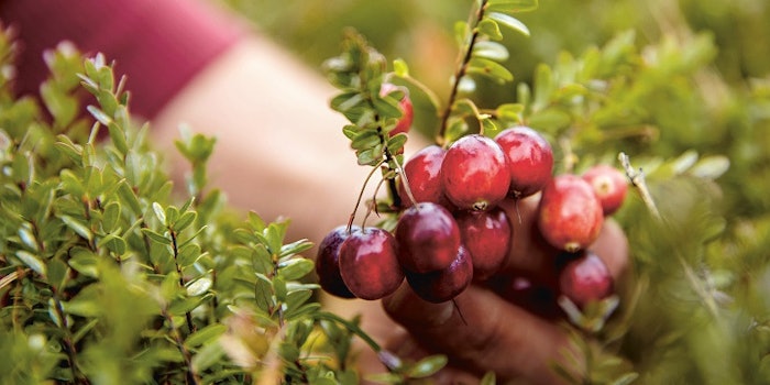 pf_symrise1_lead_62618