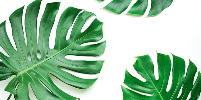 850x425_naturexgivaudan1