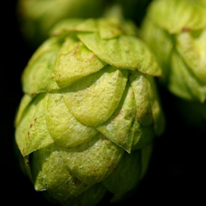 pf_hop_thumb_81618