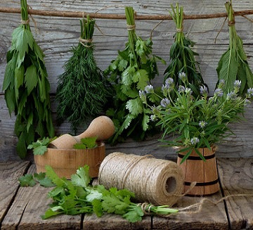 A whole bunch of herbs