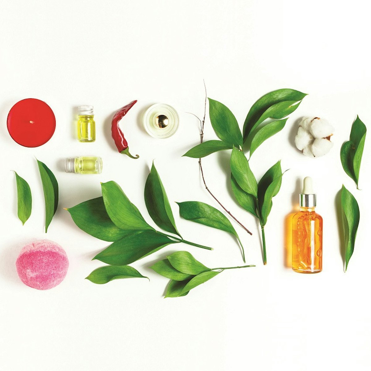 Pulp Perfume Oil - The Perfume Oil Co