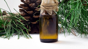 cedar1