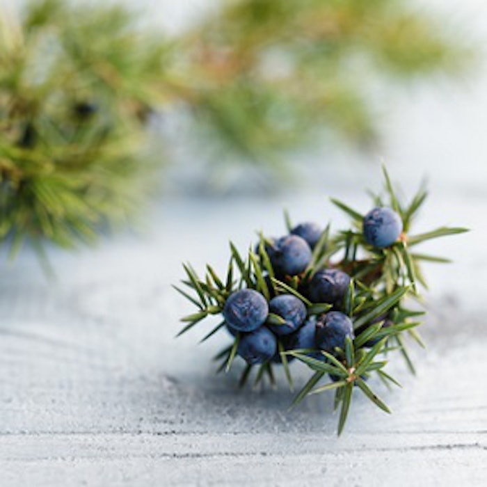 pf_juniper_thumb_103118