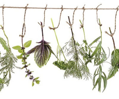 Herbs on a line