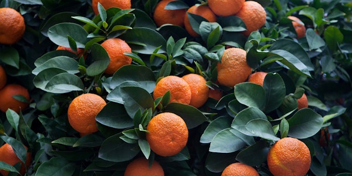 pf_orange_lead_12418