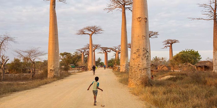 850x425_synergymadagascar