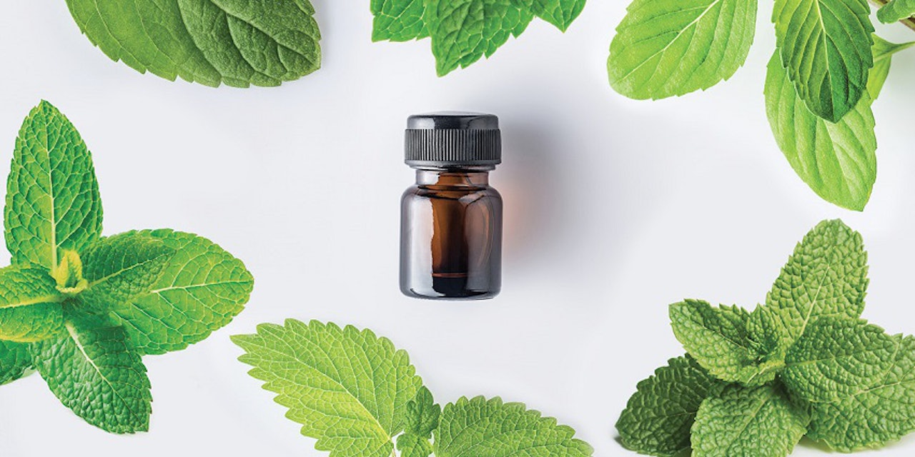 Authentication of Natural Peppermint Oil