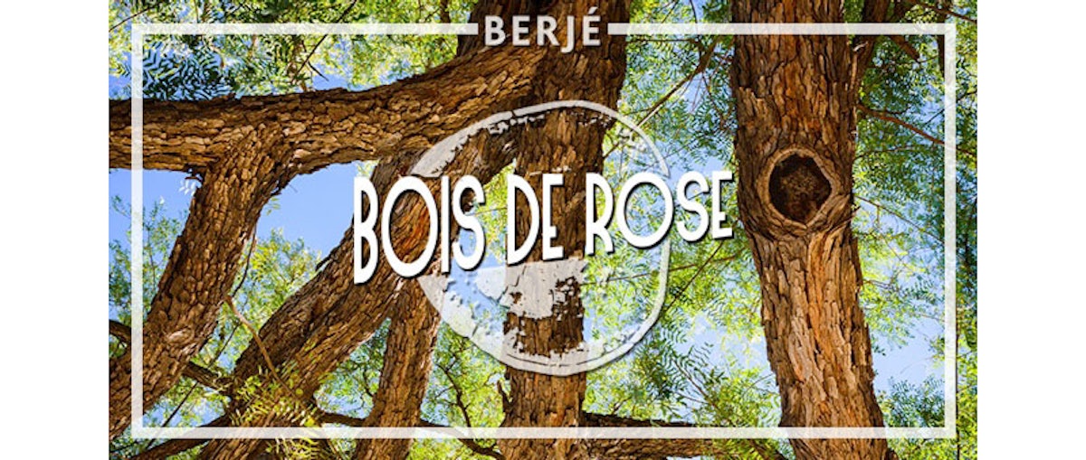 The state of: Bois de Rose and Linalool ex Bois de Rose