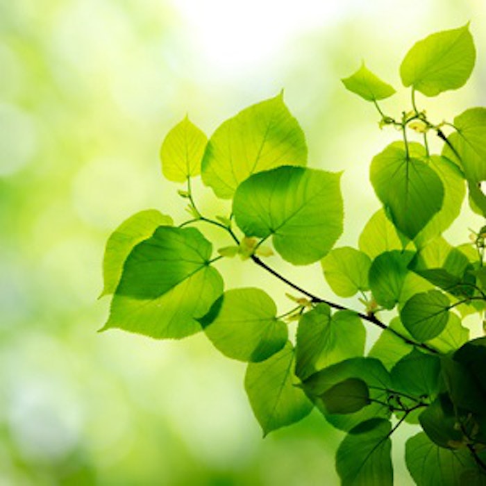 pf_green_thumbs_42319