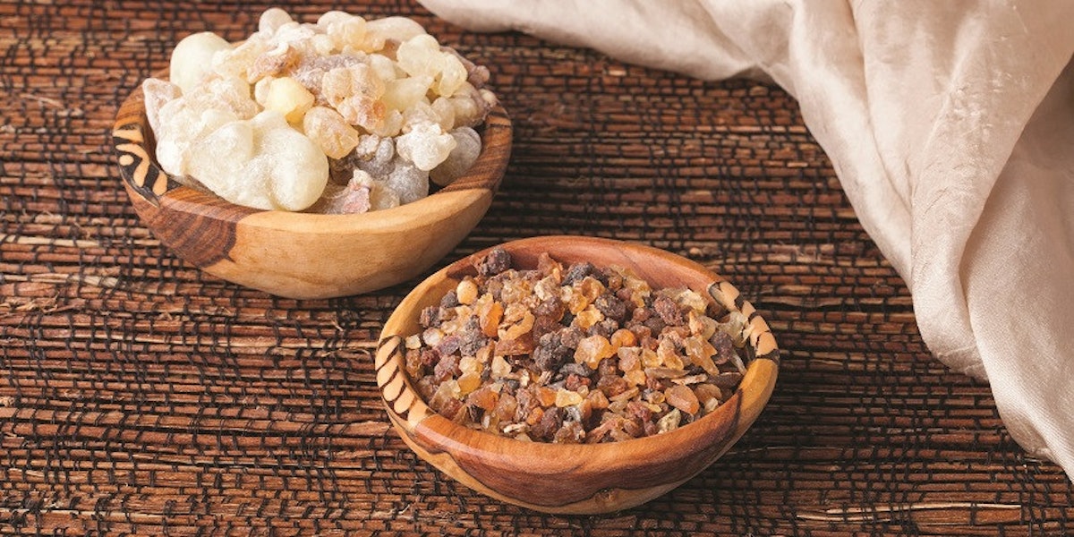 Frankincense And Myrrh Info - Learn About Frankincense And Myrrh Trees