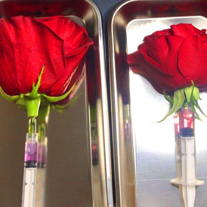 A dose of rose! Here rose was broken down into its main aromatic constituents.