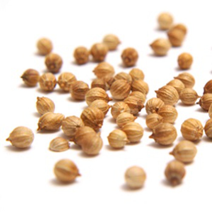 Coriander seed