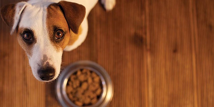 Best rated discount dog food 2019