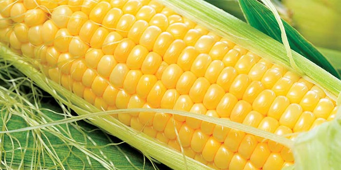 850x425-Corn1