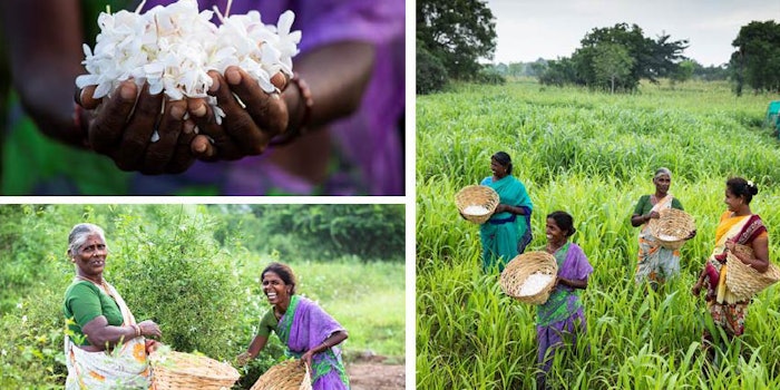 In collaboration with Firmenich and its partner Jasmine Concrete, BVLGARI has announced the 'Flower Gems of India' initiative devoted to innovative and sustainable flower farming.