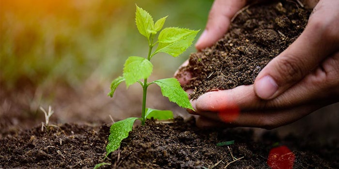 Symrise has once again earned a spot on CDP’s A List and has announced it aspires to transition to a resource-conserving economy, among other goals.