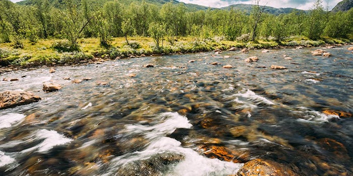 Kao Corporation has made CDP's A List for its water security for the third consecutive year, following its first time earning an A ranking for climate protection.
