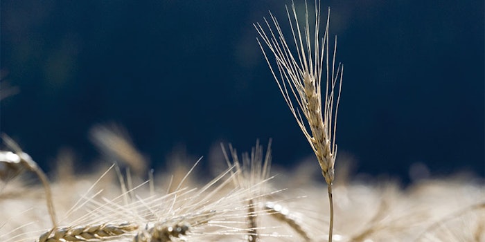 850x425-2004Sourcing