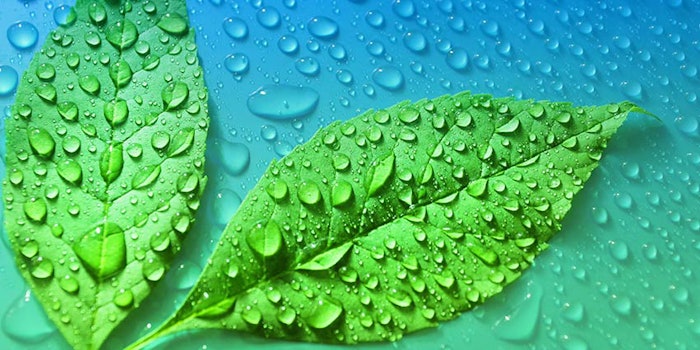 Kao Corporation's efforts to reduce environmental footprints and CO2 emissions in the product life cycle has earned it the Industrial Science and Technology Policy and Environment Bureau Director-General’s Award.