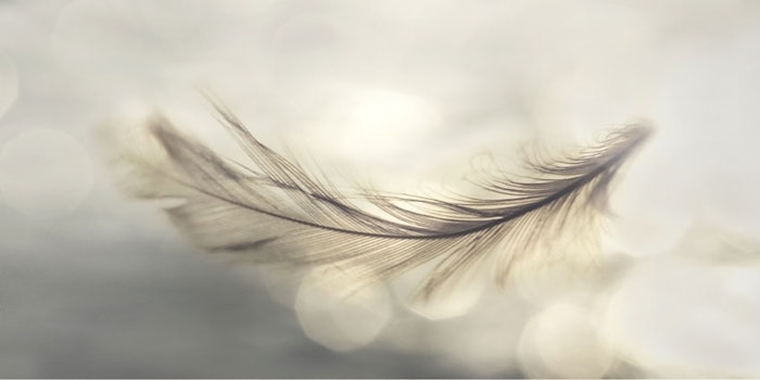 850x425-feather
