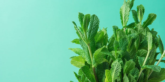 This month's editor's note is keeping it cool, calm and collected as P&F uncovers the essential sensations of mint and oral care.