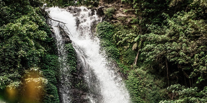 Firmenich has announced EcoIngredient Compass, a new proprietary tool that offers customers an immediate assessment of the group’s fragrance molecules through the lens of green chemistry.