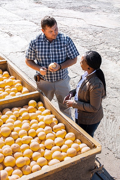 Sustainability at Symrise