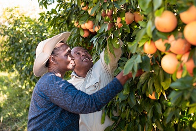 Sustainable production in South Africa