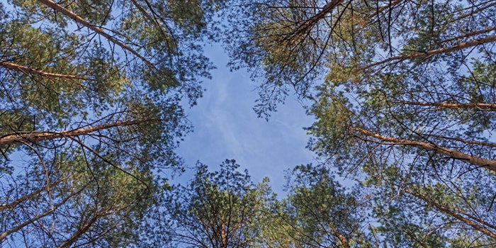 ADM has joined alongside nearly 100 fragrance and flavor companies in signing the new IFRA-IOFI sustainability charter.