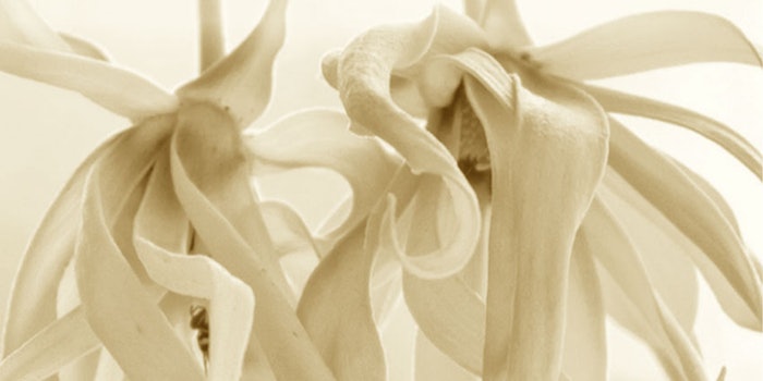 The French Society of Perfumers has announced its International Perfumer-Creator Award 2021 theme is ylang ylang.