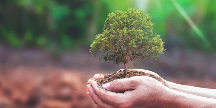 P2 Science has announced that it will sponsor the planting of a tree for every kilogram of Citropol and other forestry-derived products sold via a partnership with One Tree Planted.