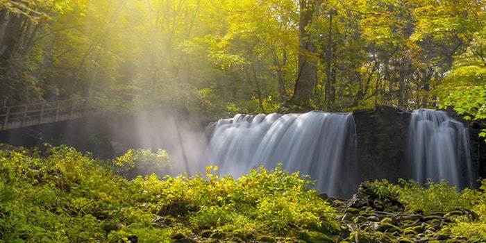 Takasago has published its sustainability report for 2019-2020.