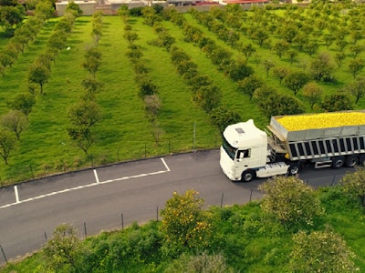 Prinova Pf2009 Image1