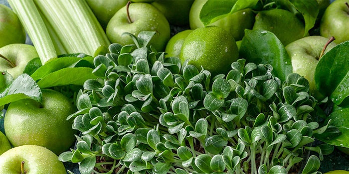 Flavor Producers: The Evolution of its Brand.