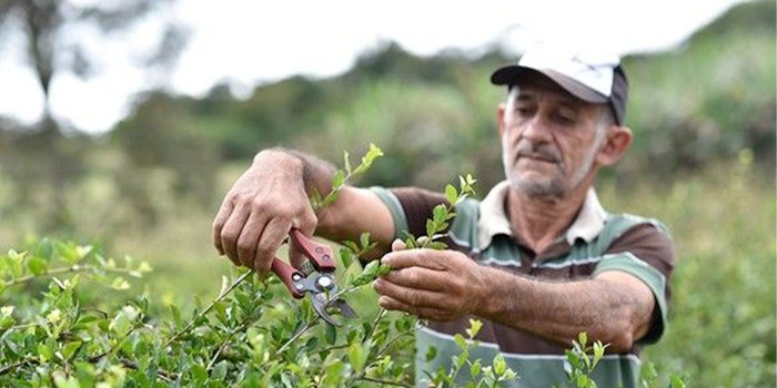 Symrise division Diana Food launches the first clean label, organic and Fair Trade acerola powder.