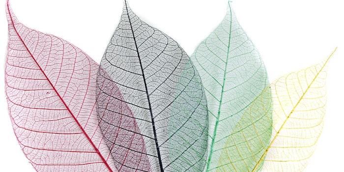 Givaudan will work alongside the farmers and producers at the source to develop naturals for perfumery while bringing a positive impact to the planet.
