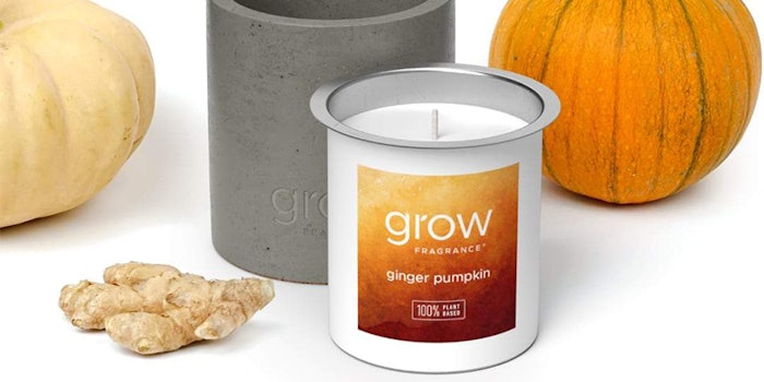 Grow Fragrance's Ginger Pumpkin. Photo Credit: Grow Fragrance.