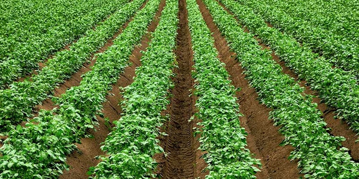 The Brewed Protein polymers will be produced by ADM in the United States using plant-based dextrose.