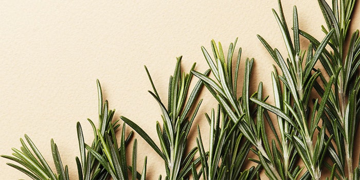 Rosavel is a natural preservation solution with 98% high-purity rosmarinic acid made by bioconversion.