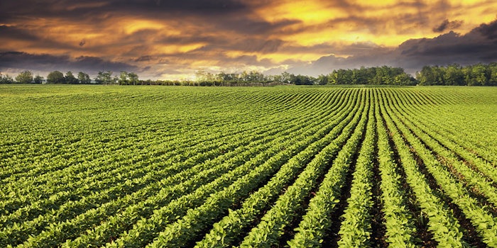 The Swiss Food & Nutrition Valley will focus on areas such as nutrition, life sciences, alternative proteins, packaging science, waste management and precision agriculture.