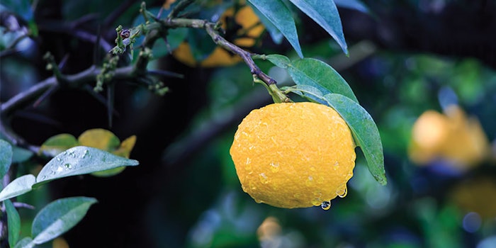 Japanese cuisines and flavors, such as the citrus fruit yuzu, are trending in the United States and Southeast Asia.