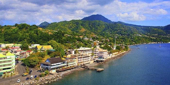 After hurricanes destroyed Dominica's infrastructure—and star cash crop—the tiny island nation looks to reestablish bay oil on the global market.