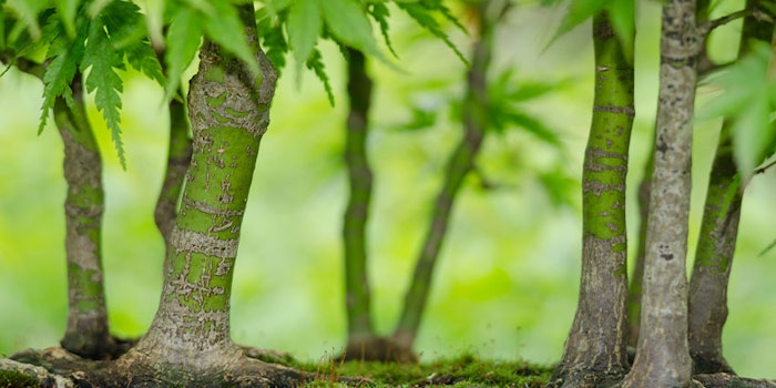 The company will accelerate R&D through innovations to achieve the realization of a decarbonized society which contributes to a circular economy and a sustainable bioeconomy by introducing the slogan “Symbiosis with Nature.”