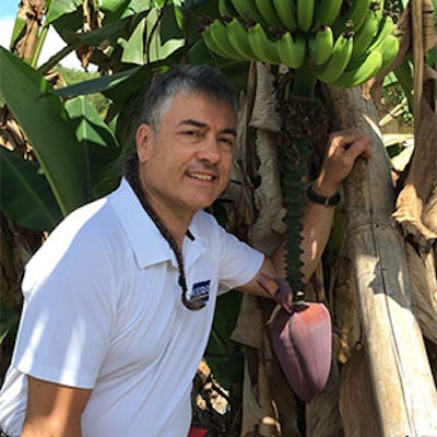 Kerry, the Taste & Nutrition Company, will present “Beyond Flavor, Building an Authentic Sustainable Future for Taste” at Flavorcon Virtual 2020 on Thursday, December 10, 2020, at 8:55 am CST, which will discuss how to apply science to food and beverages to create global