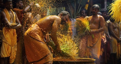 Bluecali Pf2012 Image1